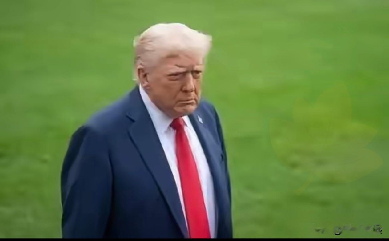 特朗普和拜登的不同就在于。特朗普与拜登，一个是美国前任总统，一个是现任总统，