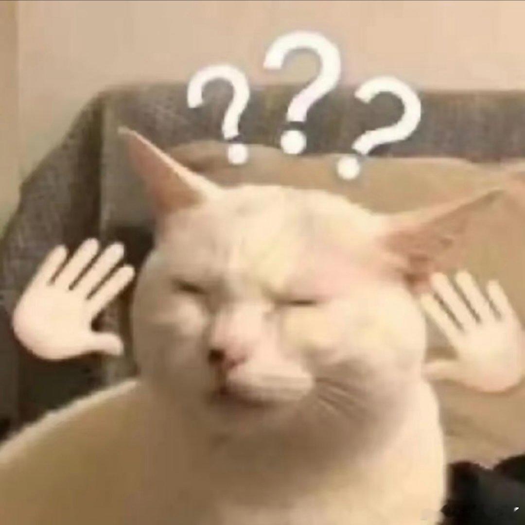 小猫抽象表情包