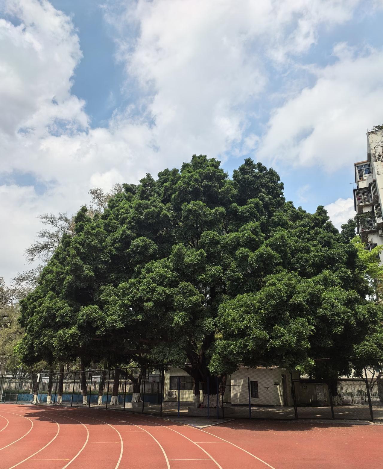 跑步锻炼，能达到这个里程数就有很大的效果，很多人的认知错了很多人觉得跑步只有跑