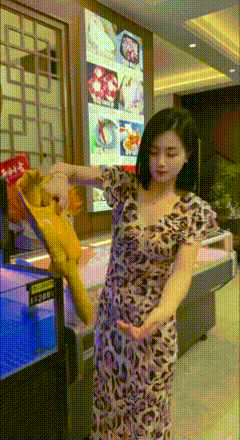 各位兄弟，快帮我看看，这是不是同一个人？感觉手法很熟悉啊[捂脸哭]
