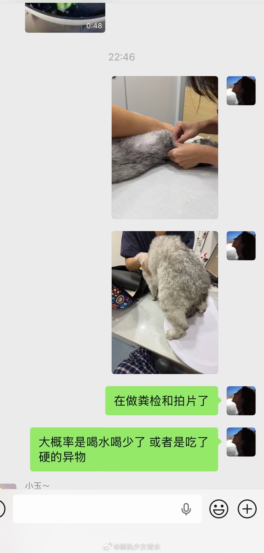 感觉最近霉霉的小猫都跟着倒霉谁敢想一周内这只小猫咪又是眼睛不舒服又是耳朵不舒服又