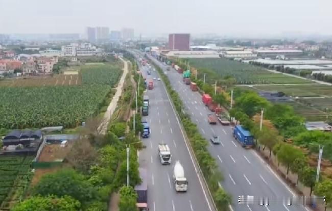 这条快速路在广州的知名度不高，但却也是连接广州南沙与顺德的一条重要的交通干线，他