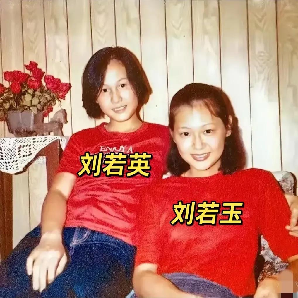 1982年，刘若英和姐姐刘若玉，一张珍贵的留影，出生军人家庭，爷爷是民国上将，家