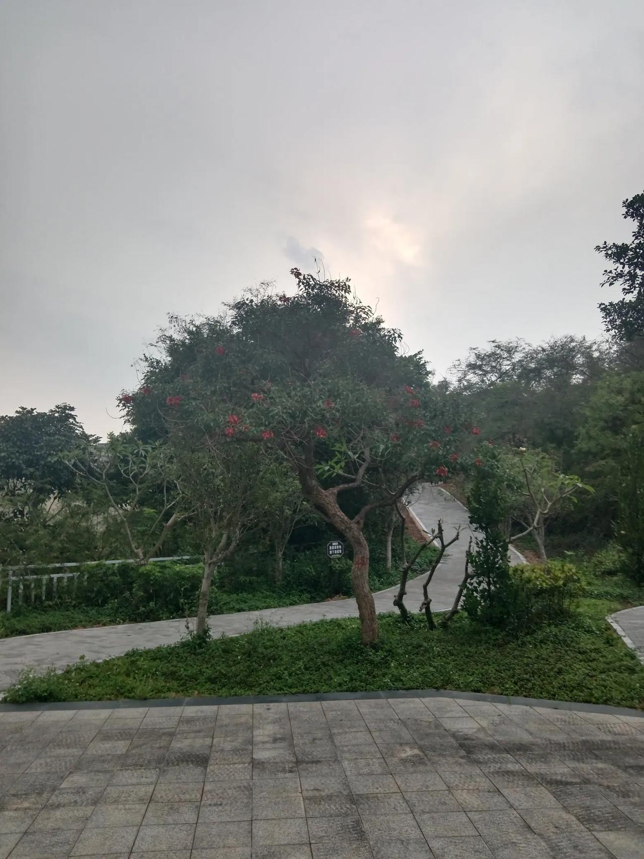 你们有没有碰到过这样的儿媳妇？和自己的公婆分居两地，一年到头不管是逢年过节，