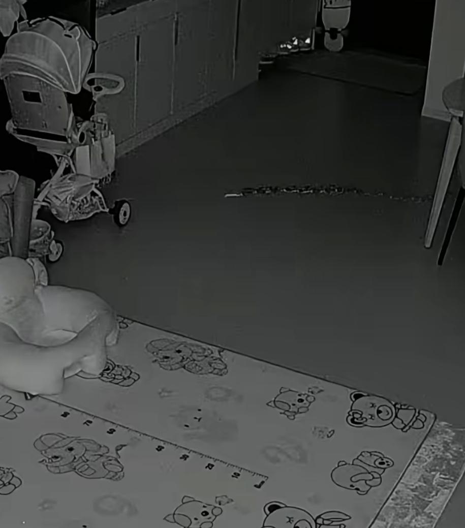 女子早上发现桃子被啃了，翻监控发现不明生物在家中，消防员、物业把家中翻遍都没