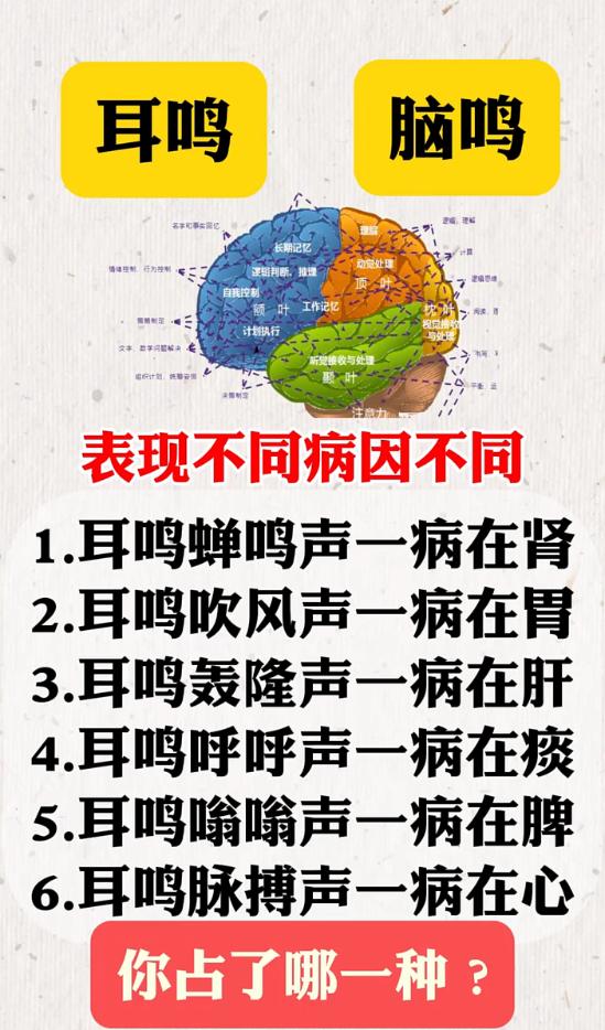 不同耳鸣声音根源不一样，蝉鸣、轰隆声分别对应哪个脏腑