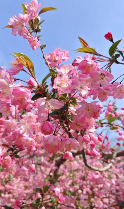 看到一个29岁的女孩子，本来已经定婚了，收了6万彩礼和5金。在领证之前，男方提出