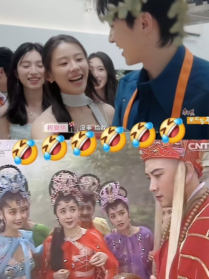 内娱这综艺也是让我品到细糠了2025上半年内娱综艺狂喜！一口气刷完挖到宝～《