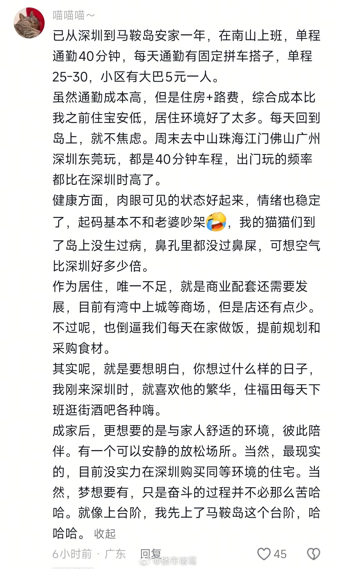 深中通勤是一种什么样的体验？某网友是这么回答的：