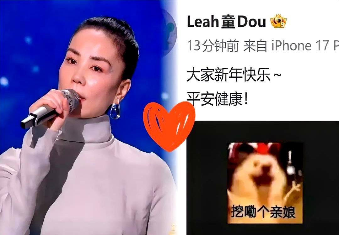 “挖嘞个亲娘！”窦靖童看完王菲大湾区晚会，就发了这么一条。王菲在台上压轴