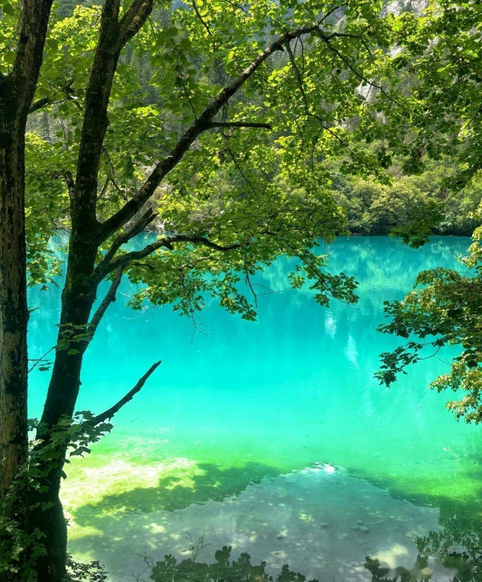 成都人未来有望打飞的游九寨沟00后大学生给成都文旅出妙招，说不定以后成都人打