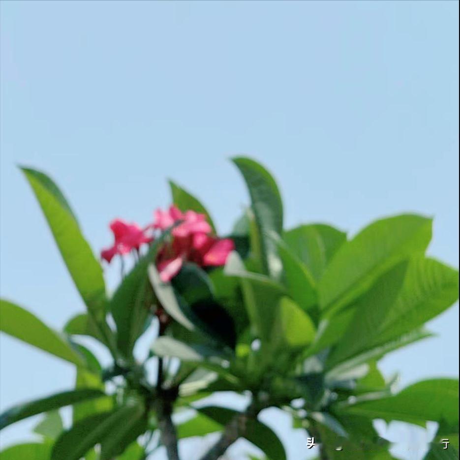 潍坊市迎来新的政府主要负责同志 4月15日，今年53岁的谢兆村履新该市。 