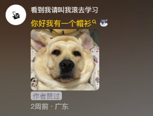 为了你我变成馕人模样～动物奇遇记