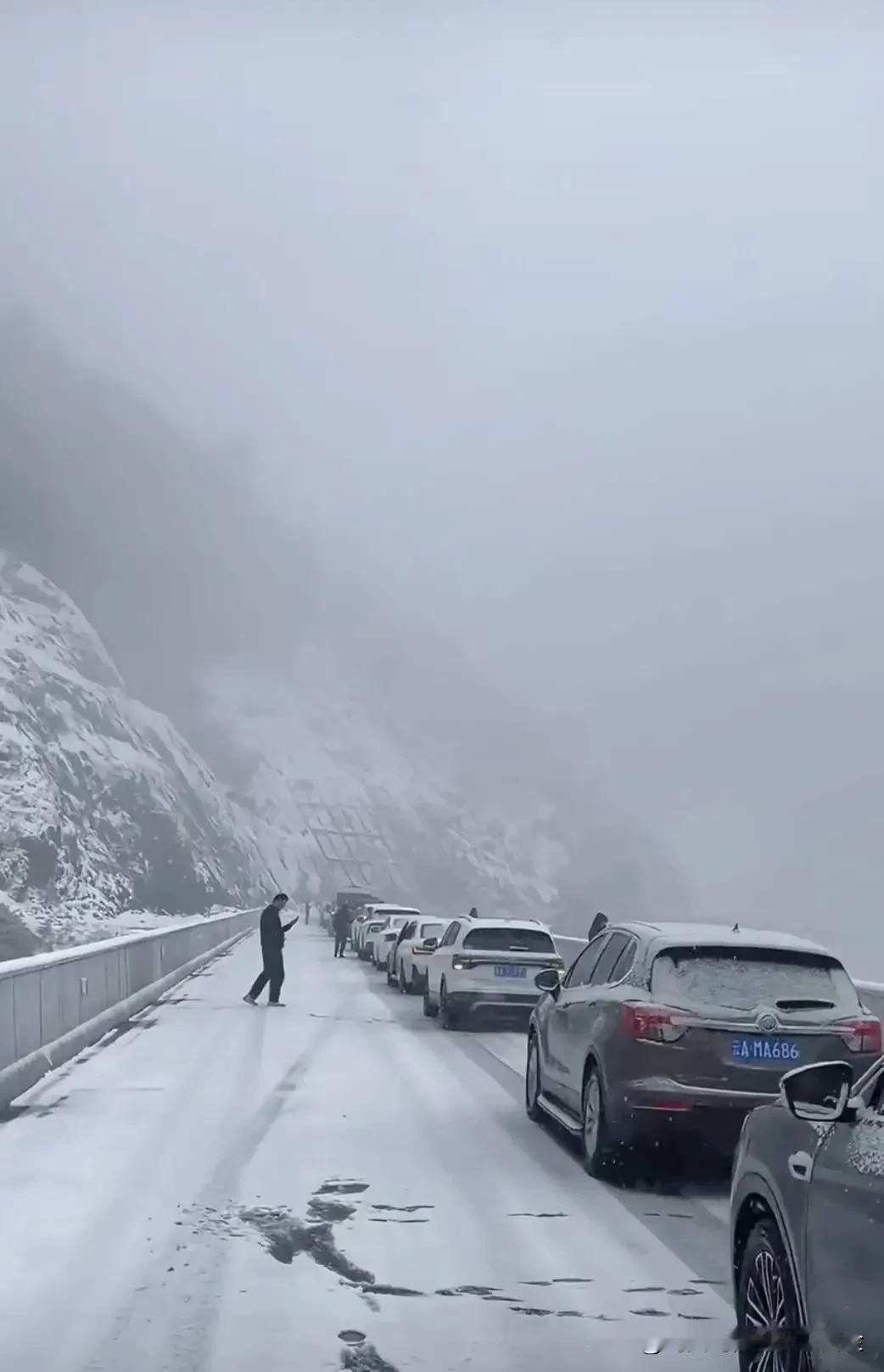 1月26日，云南丽江玉龙雪山景区突降大雪，导致大量游客被困。有游客称几千人被堵在