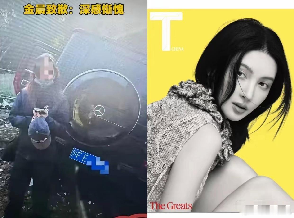 金晨现在最烦的人就是徐长青了，估计气的后槽牙都要咬碎了，本来事故只是个小事，没想