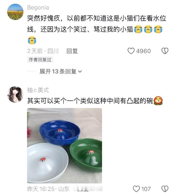 终于知道小猫水碗里为什么总是出现猫粮了🥹