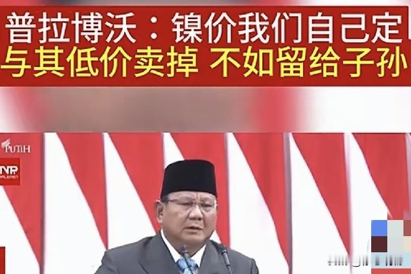 印尼垄断出口收割中资，中企出海需谨慎！继荷兰出手管控外资产业、多
