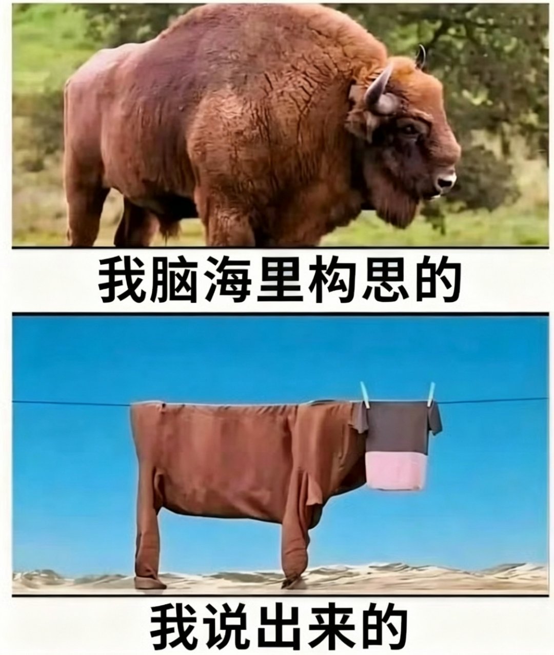 我表达能力