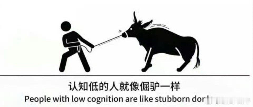 真的就是这样子……​​​