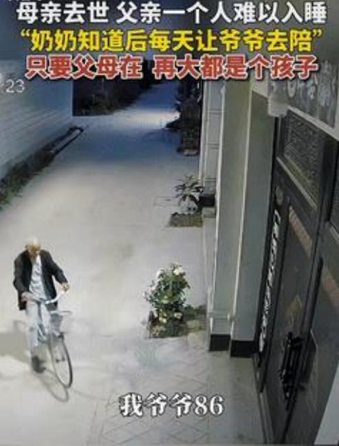 "看哭了！"河南驻马店，一妈妈去世后，料理完后事的孩子就出远门继续工作了，家里只