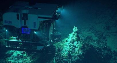 高市早苗刚刚访美，日本媒体就表示日本要赢了，中国要拿日本没招了，日本稀土自主指日