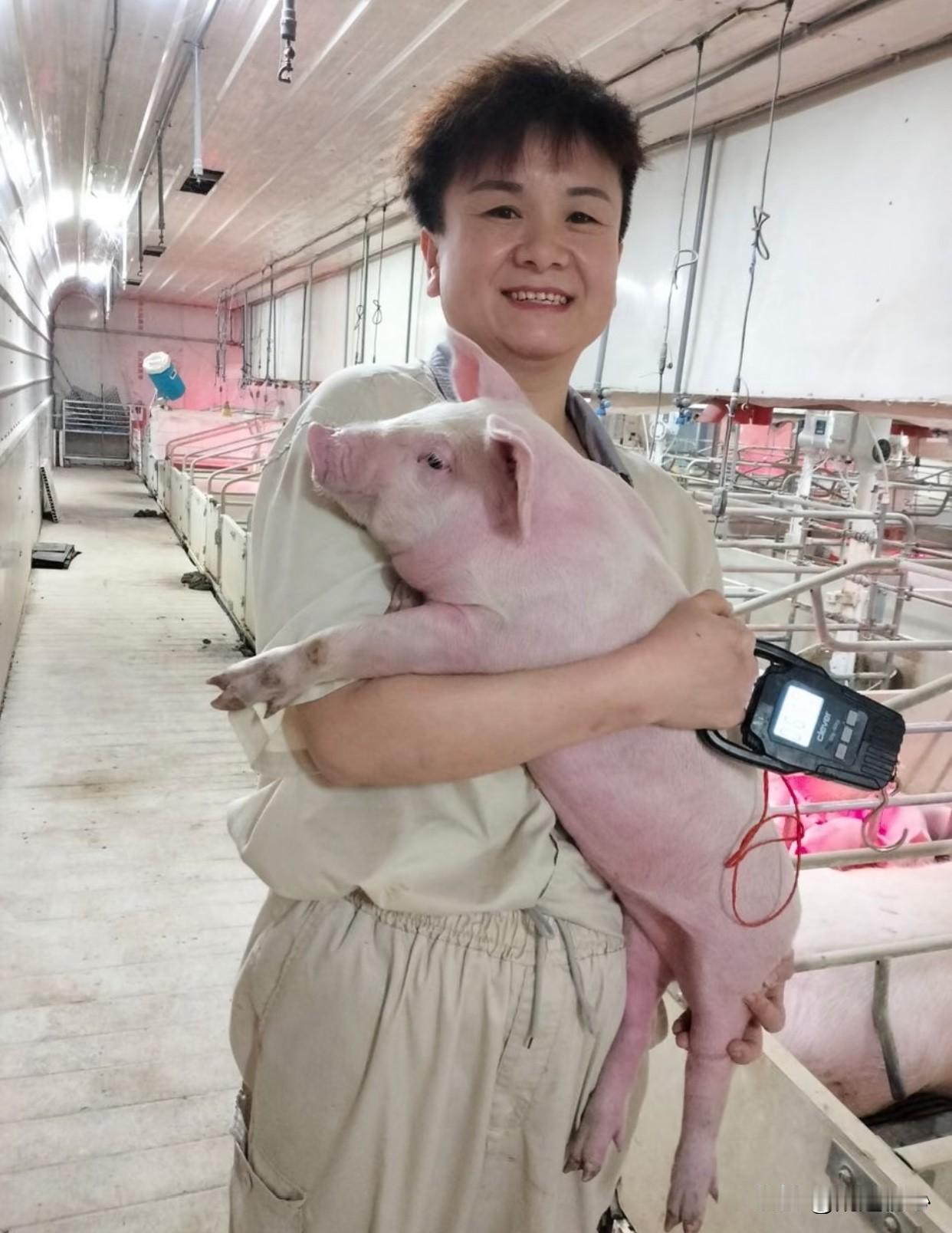 宇树科技真的是科技企业吗？一年研发费用1.45亿元，只有养猪大户牧原集团的10%