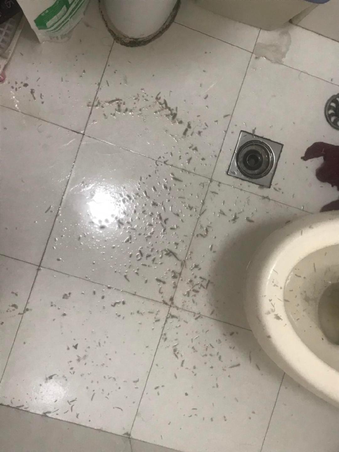 我对追了三年的女神说我家有空调，把她约到我家之后，她说别急让她洗个澡。她洗过之后