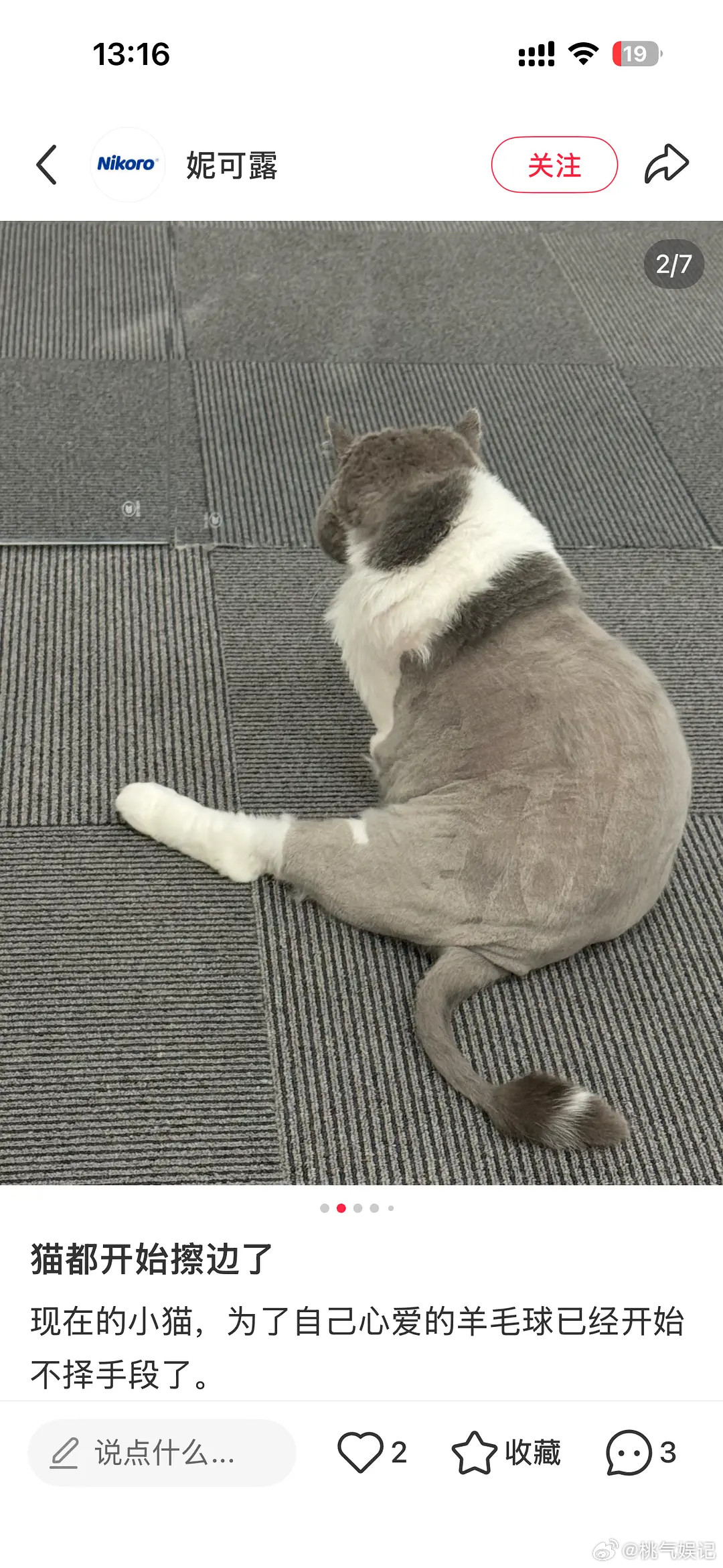 啥呀，这个运营是疯了吧