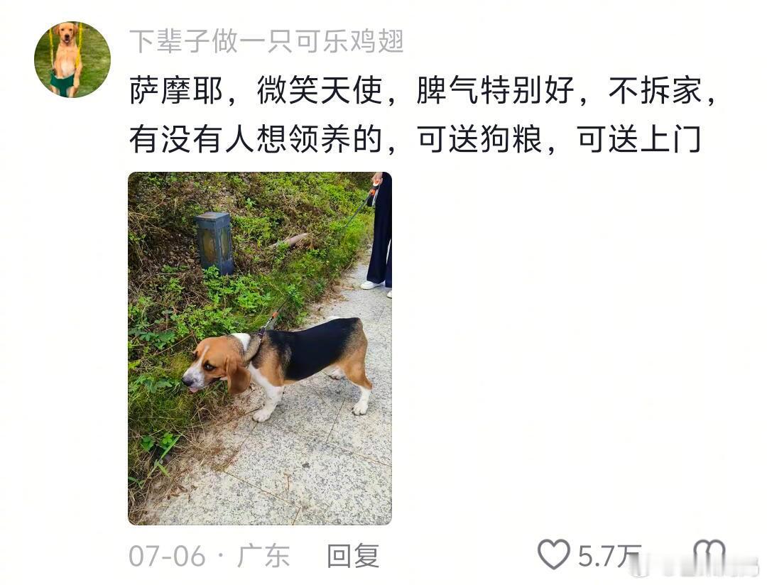 指鹿为马这块，还得看网友​​​