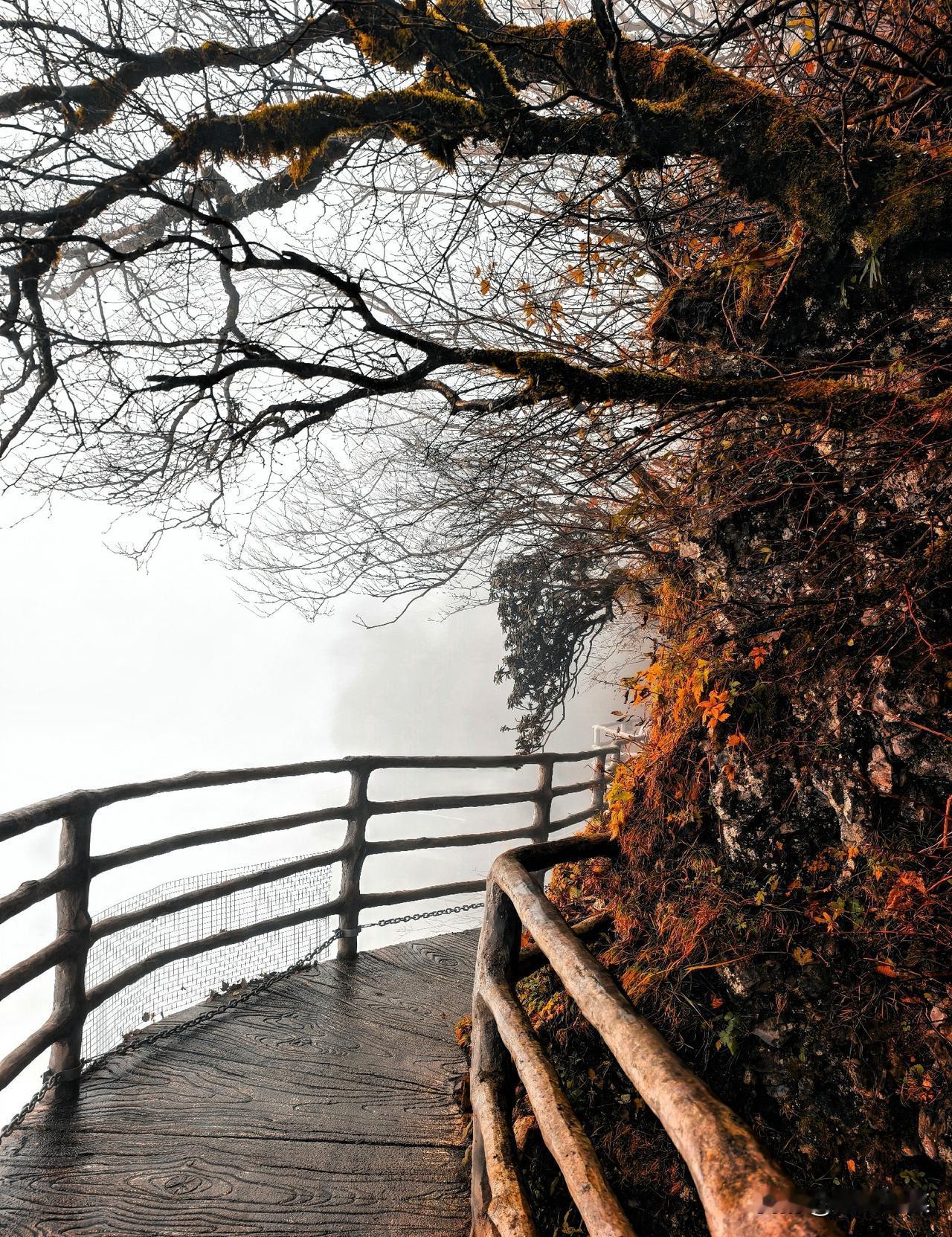 11月8日，陕西汉中市南郑区龙头山惊现秋日专属仙境。山间浓雾弥漫，悬空栈道横卧崖