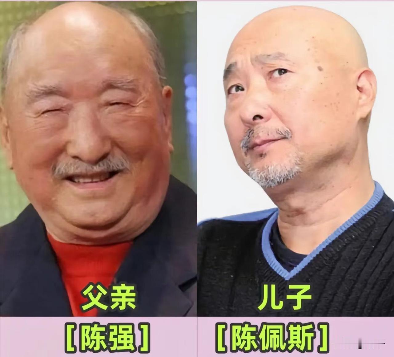 父为帆，子为船！盘点演艺圈青出于蓝的父子档，儿子名气远超父亲父亲是托举的帆