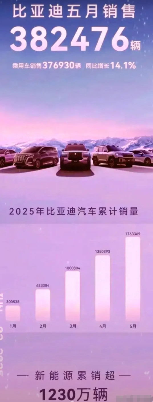 1230万辆！比亚迪扔出王炸，燃油车不得不释怀！我以为比亚迪今年第一个季度突破1