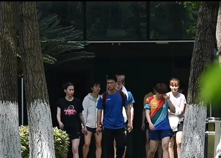 国乒一些队员下训的场景。看到一群人从楼里走出来，外面阳光很强烈，刚一出来，太过