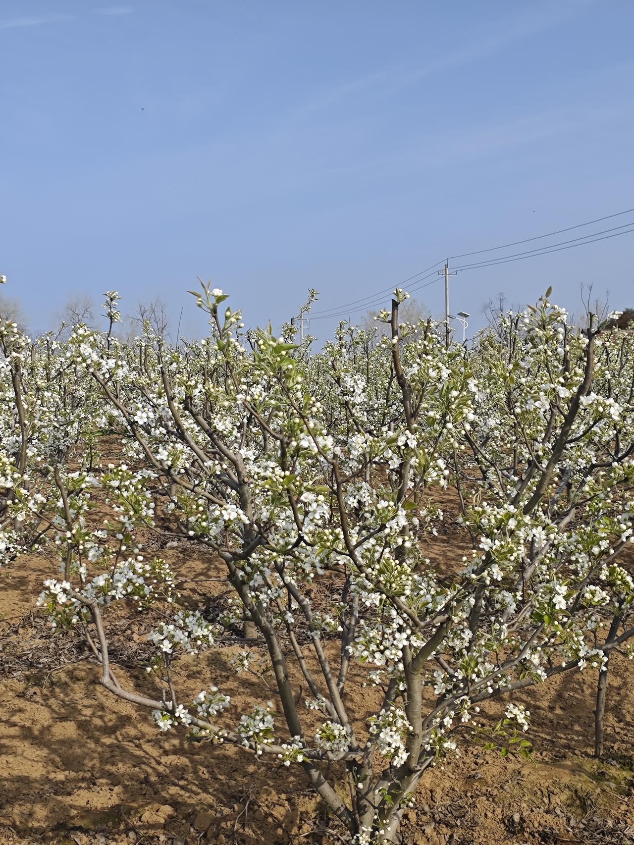想要每月获得一万元利息，需要存款多少？想每月“躺赚”1万元利息（年息12万），