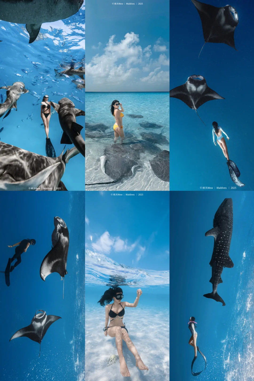 马尔代夫自由潜｜谁说水下不能做氛围感大片？