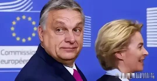 立马回手一耳光？真的是很无语，刚刚才见网络上似乎洋洋得意的网文：“欧盟作出了理