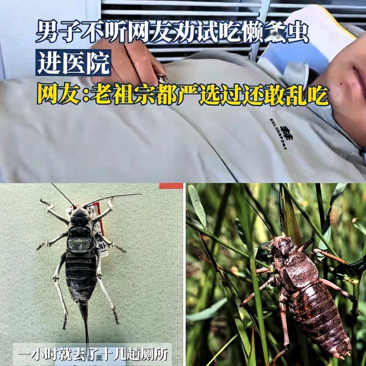 不听老祖宗的话，后悔了吧！内蒙古男子不听劝吃"油拉罐子",就吃一只导致上
