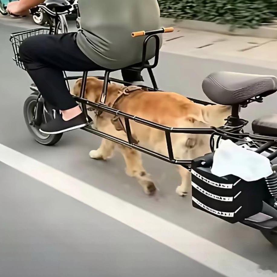 拿狗拉车可是急刹车怎么办？？​​​