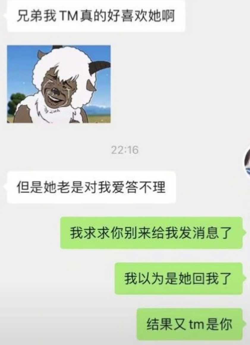 就让互相取暖的我们