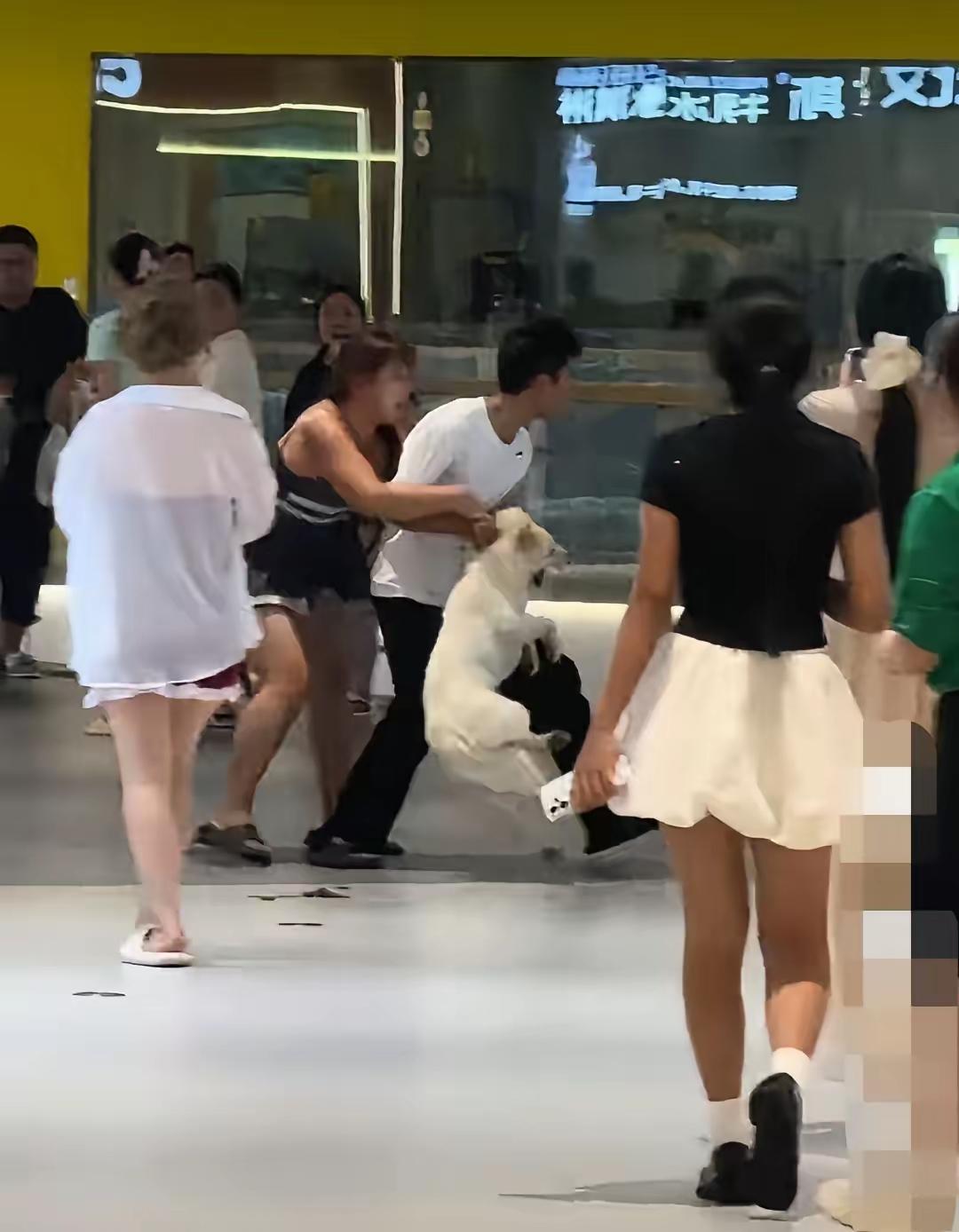 7月17日，湖南长沙，这位穿吊带裙的女子商场内遛狗不牵绳，随后有男子和她发生争执
