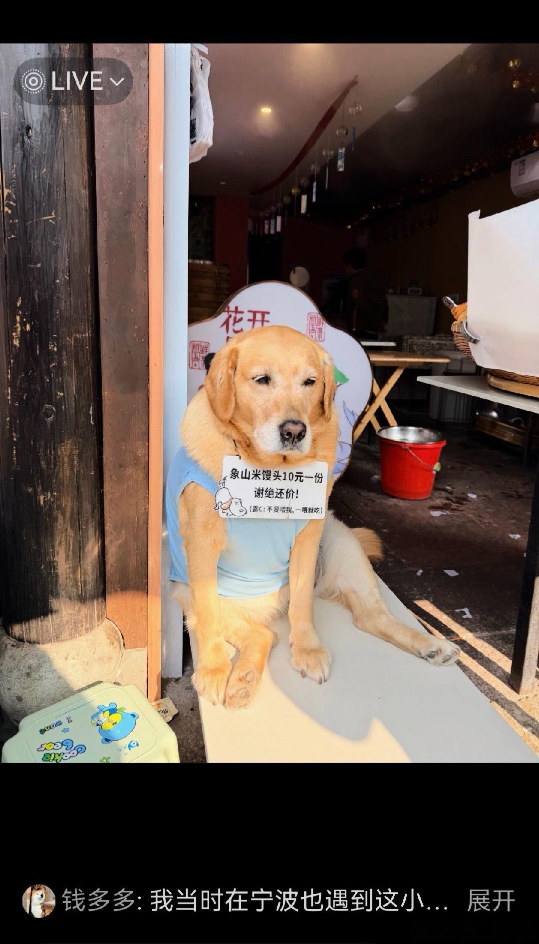 打工还不给吃的