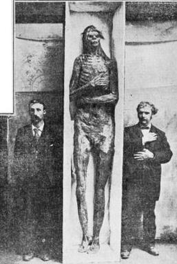1895年，一名探矿者在加利福尼亚发现了一具巨人的尸体，通过测量这具尸体长达到2