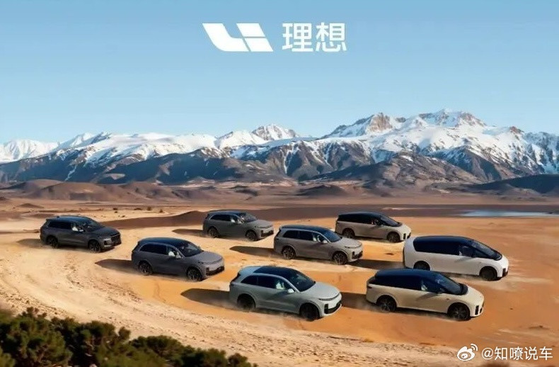 利润暴跌99.4%，理想全年缩水85.8%，率先盈利的李想不理想了理想2025年