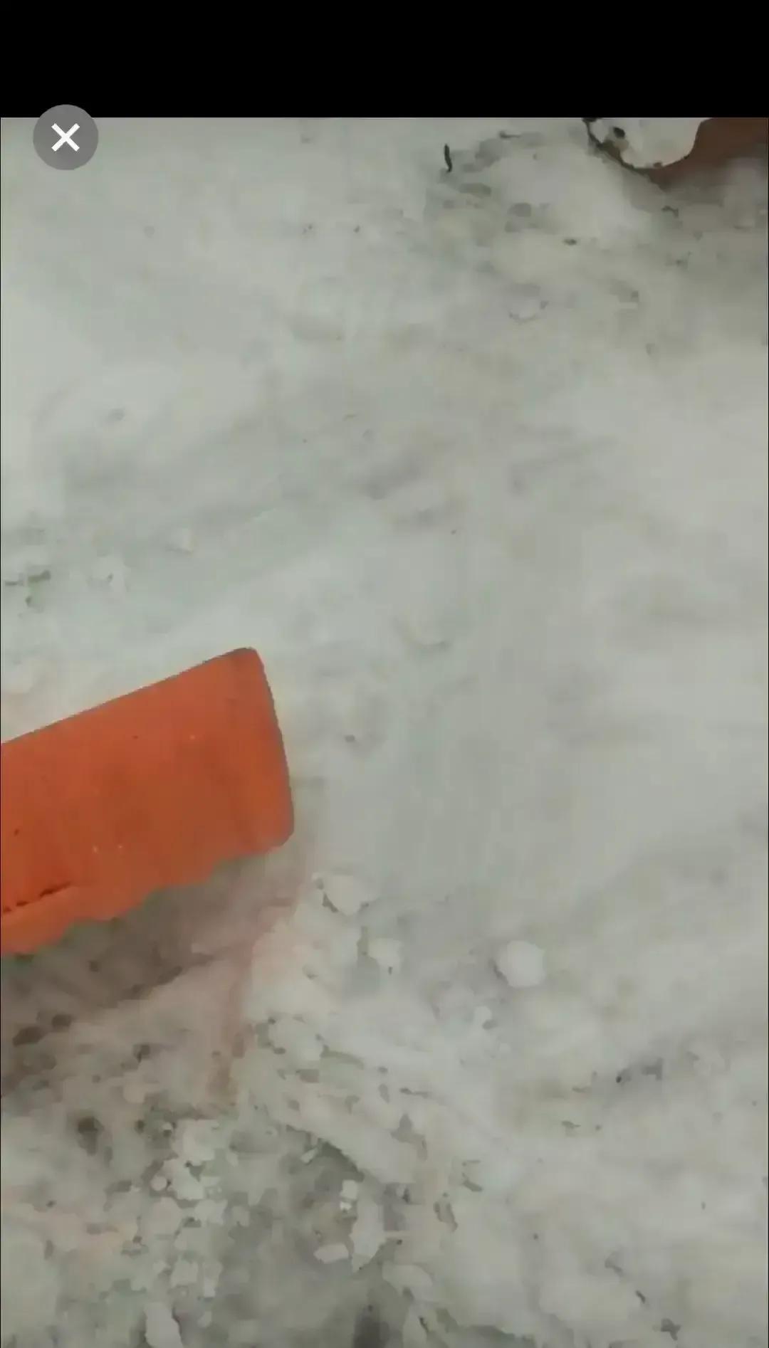 凌晨大雪封门，公司主管让俩保安出去铲雪，一个老实人拿起铁锹就干，另一个直接甩脸子