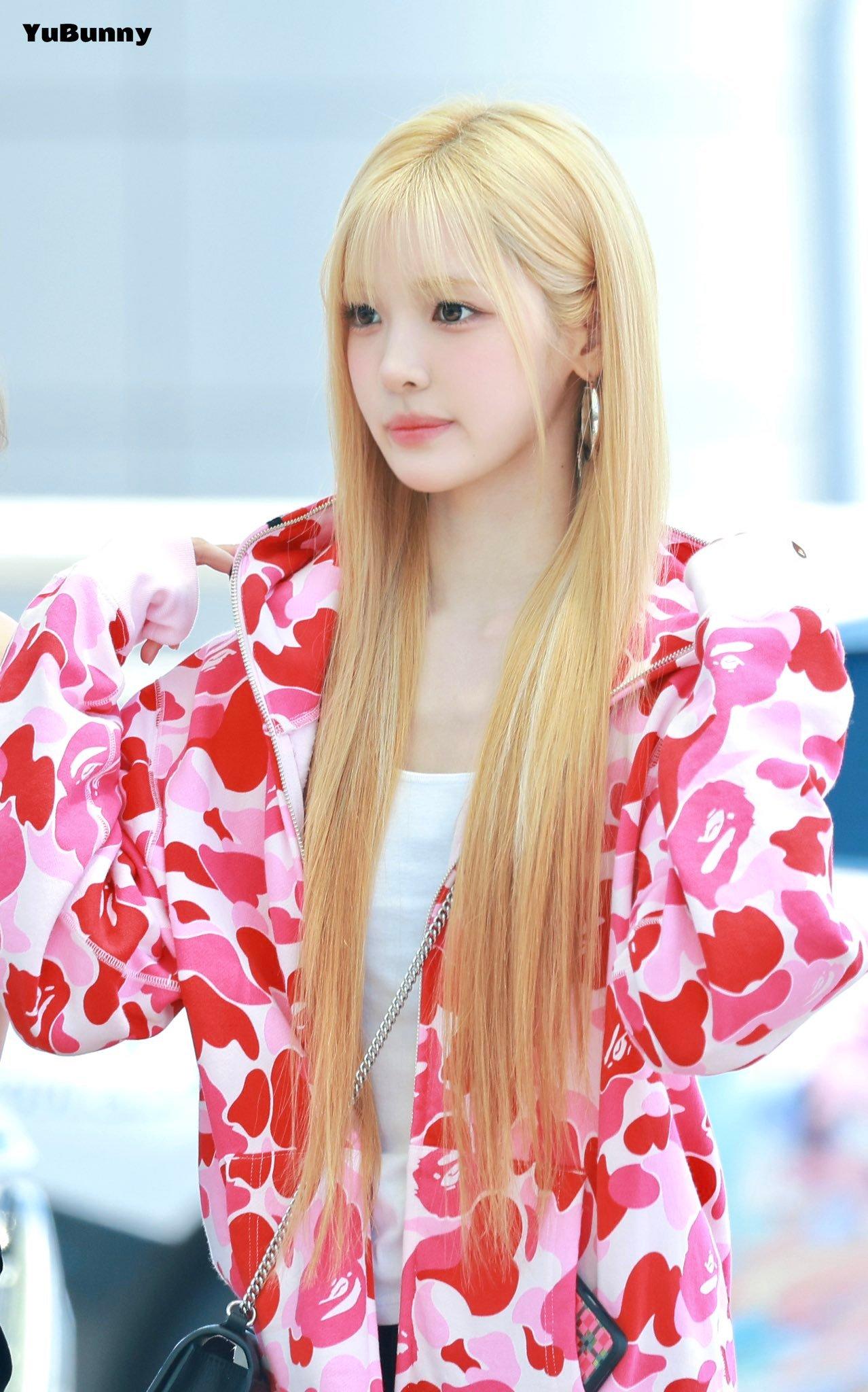 不闹了这真是我姐姐.