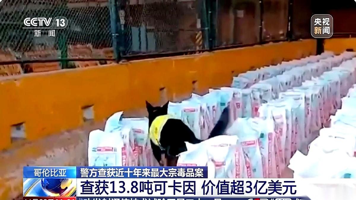 将近14吨的可卡因。价值27个亿。就这么，在一堆“装修材料”里被翻了出来。