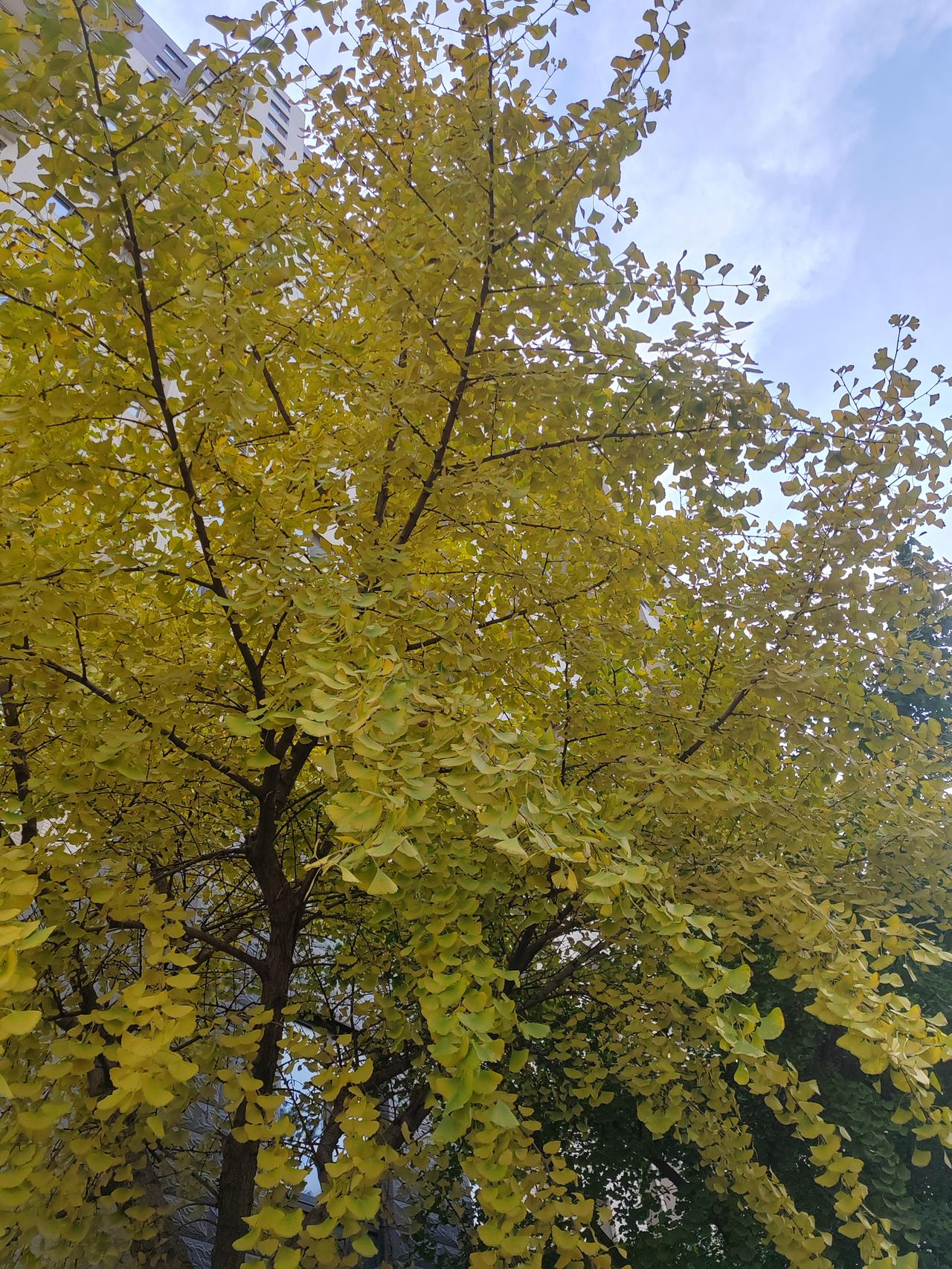 后续:被辞退了昨天聊到朋友在公司上班不顺利的事情,她说她实在受不了那个气,必