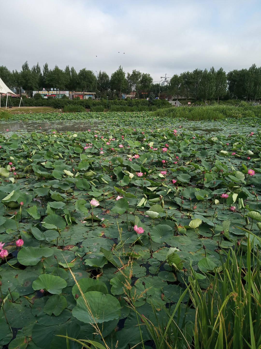 天天捡纸壳，能赚多少钱呀！我舅舅家表弟与媳妇去年退休了，在我想象中，他夫妻俩在