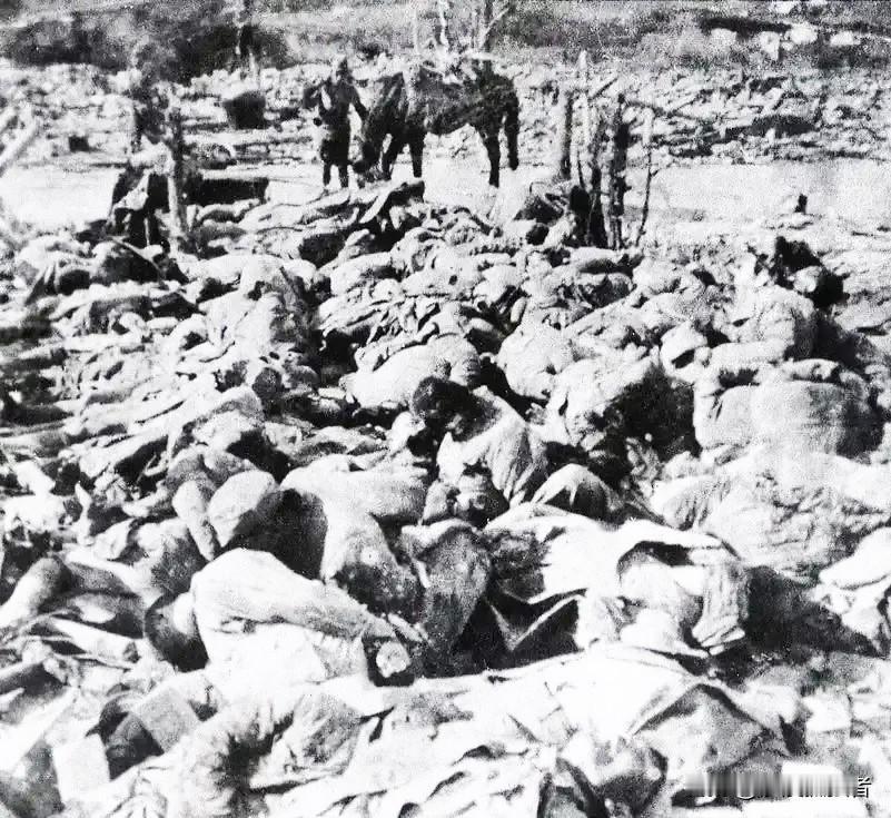 研究日军侵华，发现日军和德军最不同的一点就是，德军是干坏事的职业军人，他们杀人是