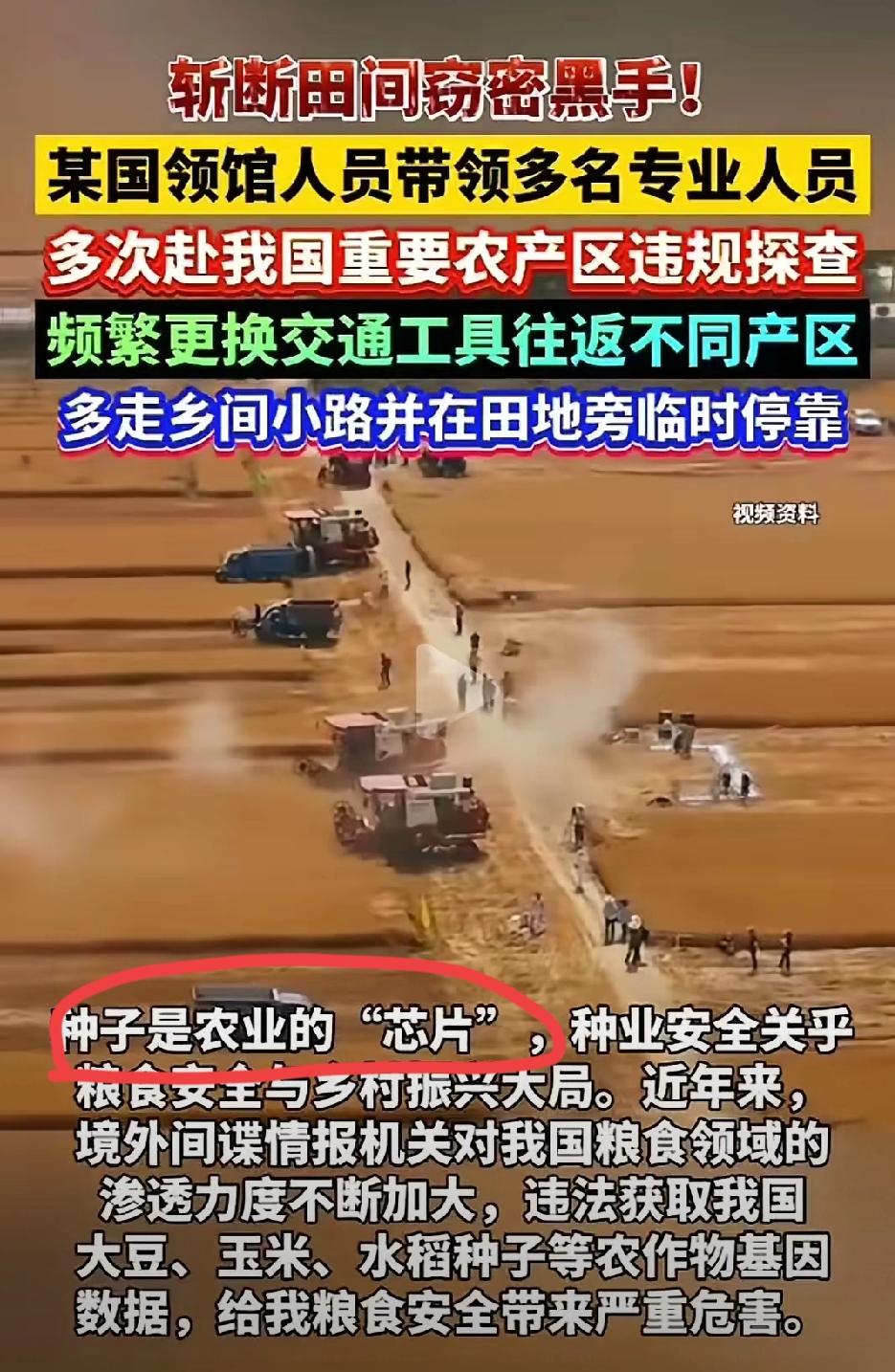 警惕！农田里藏着“窃密黑手”，境外势力竟盯着咱们的种子和粮田搞小动作！不
